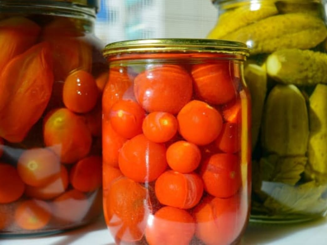 Fall into Growing Food in Your Home